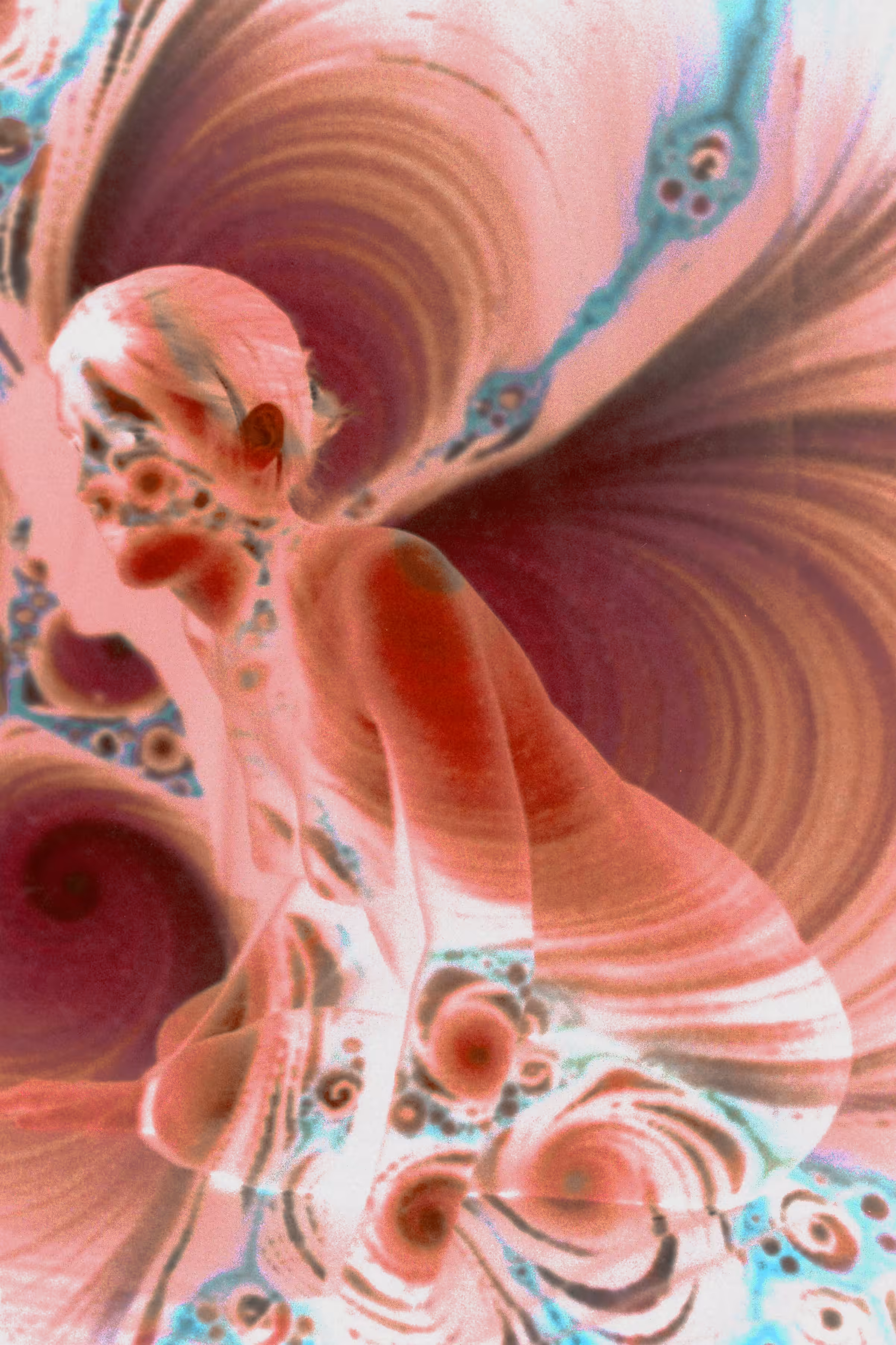 BB-Werk_J_Nr050114121507_kaleiderotica