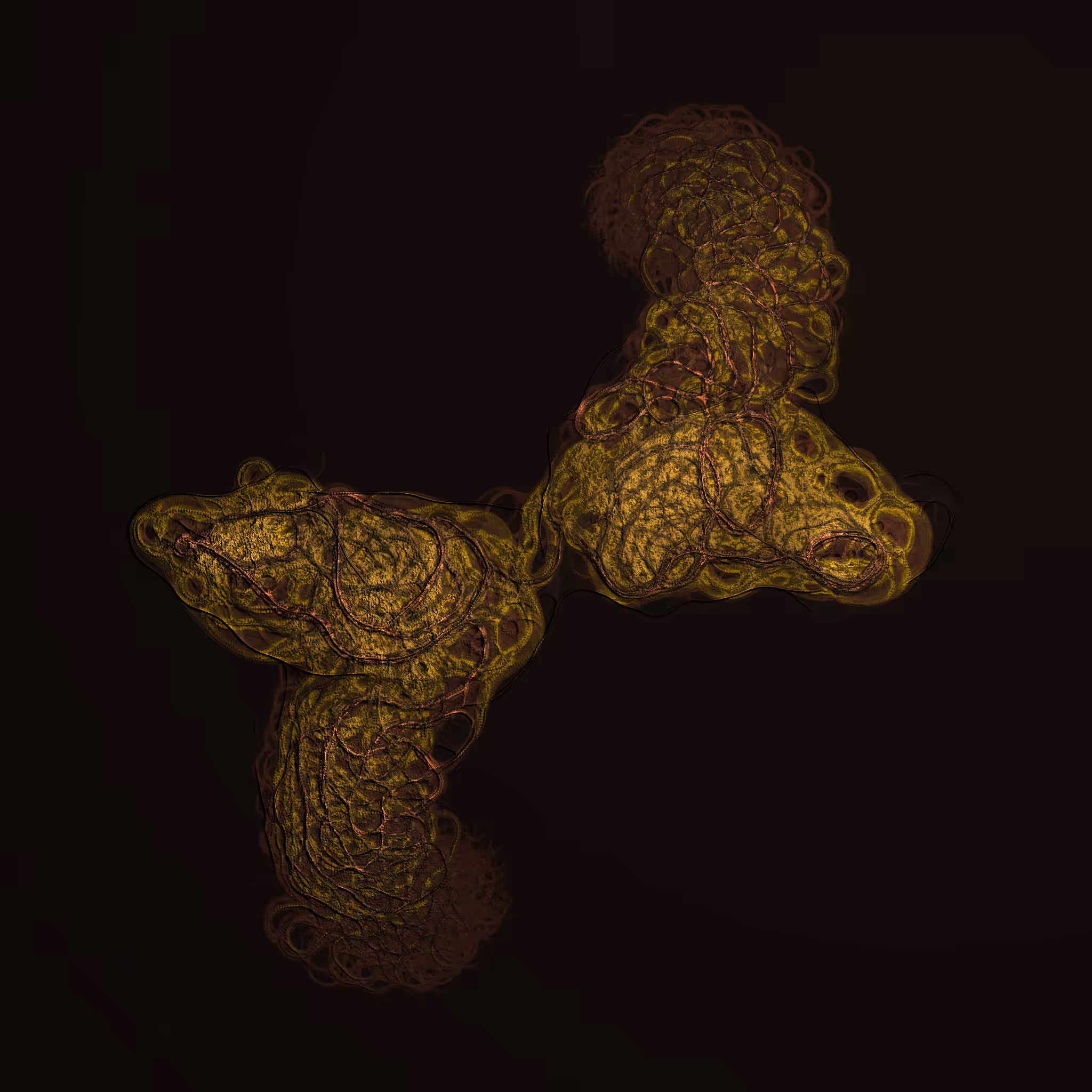 coalescence #147