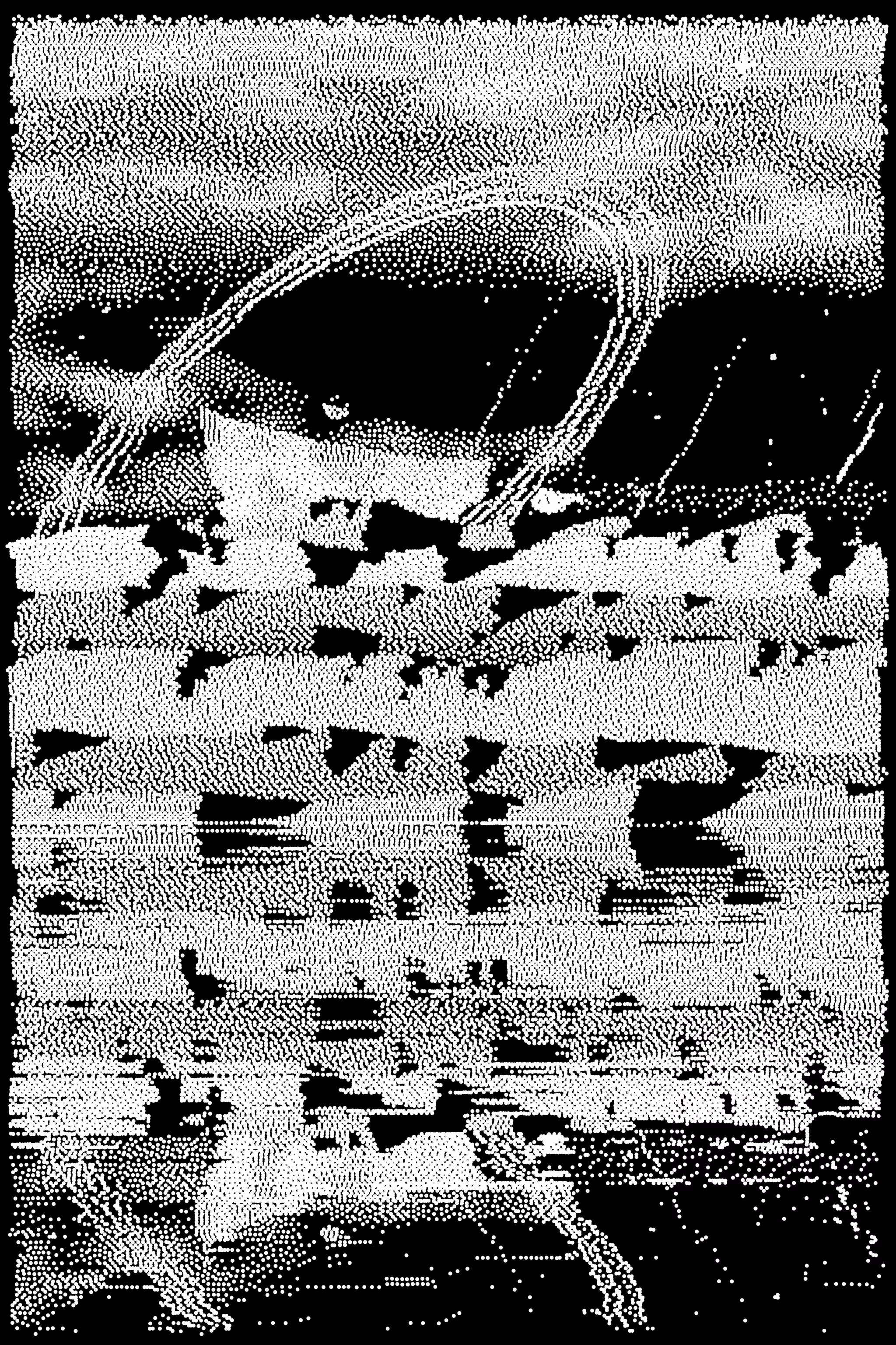 Gradient Ascent #213