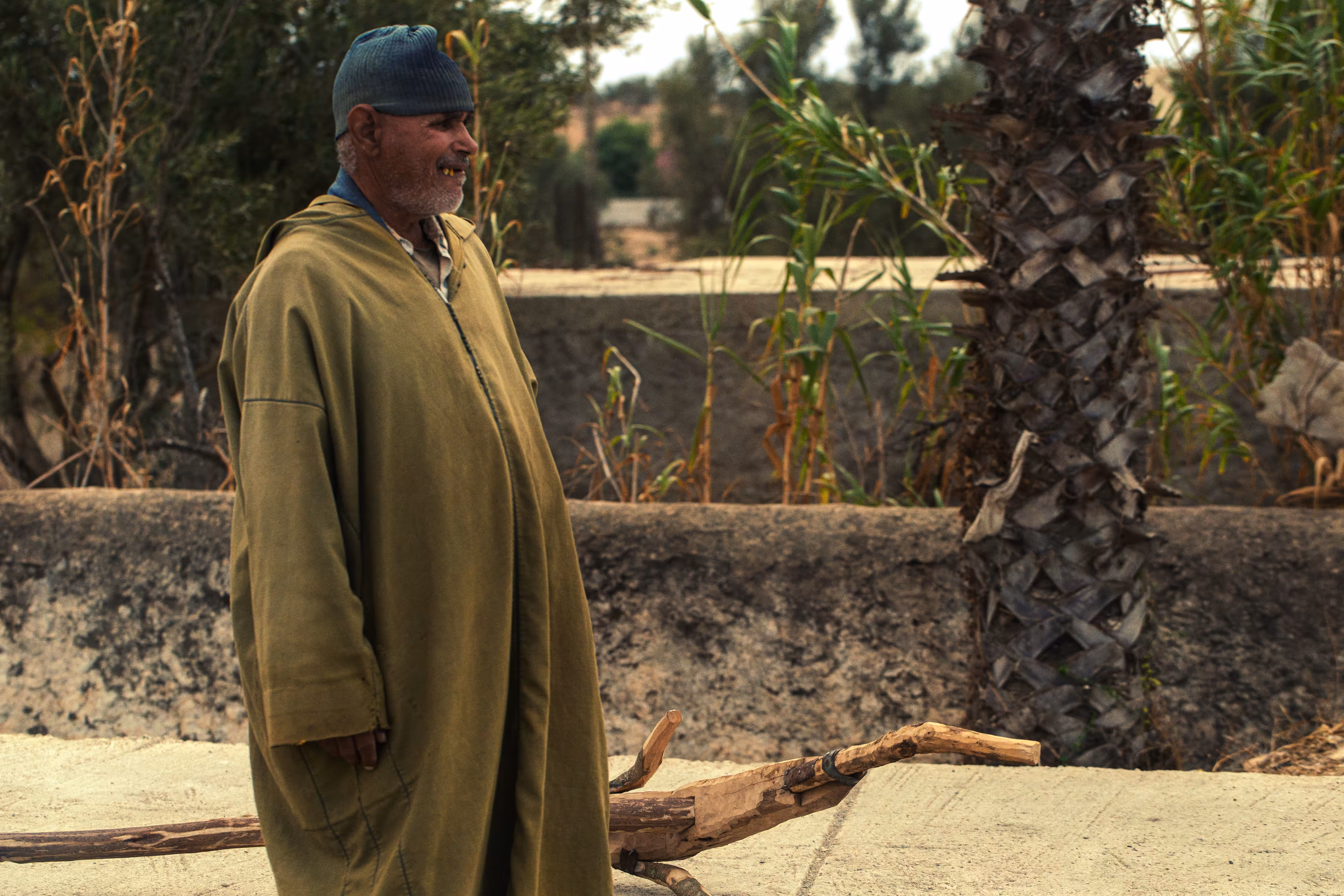 Amazigh Land #44