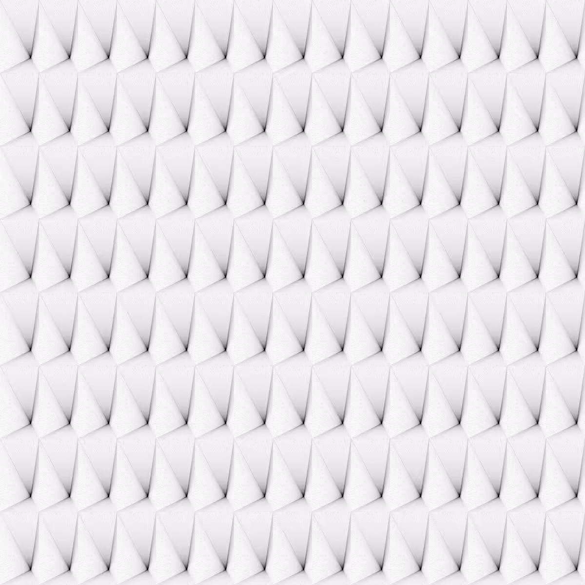Noir et Blanc #204