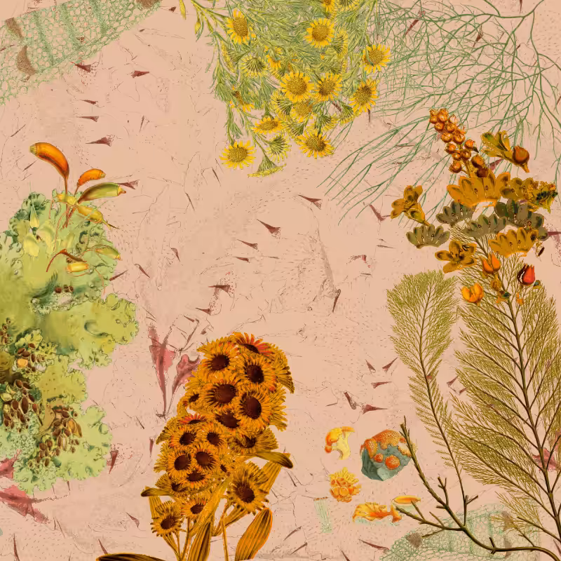 future flora from Antarctica's past #47
