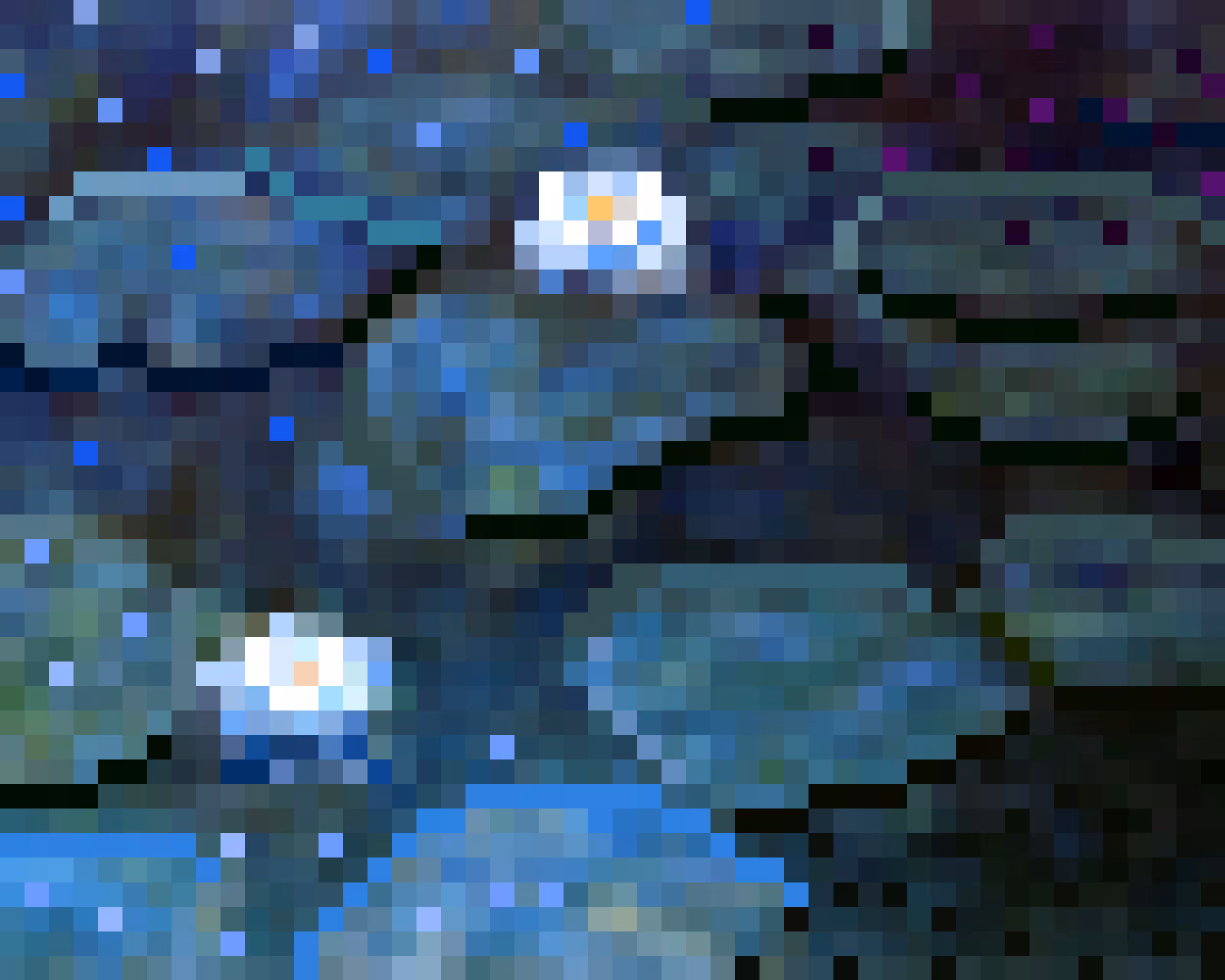 Water Lilies
