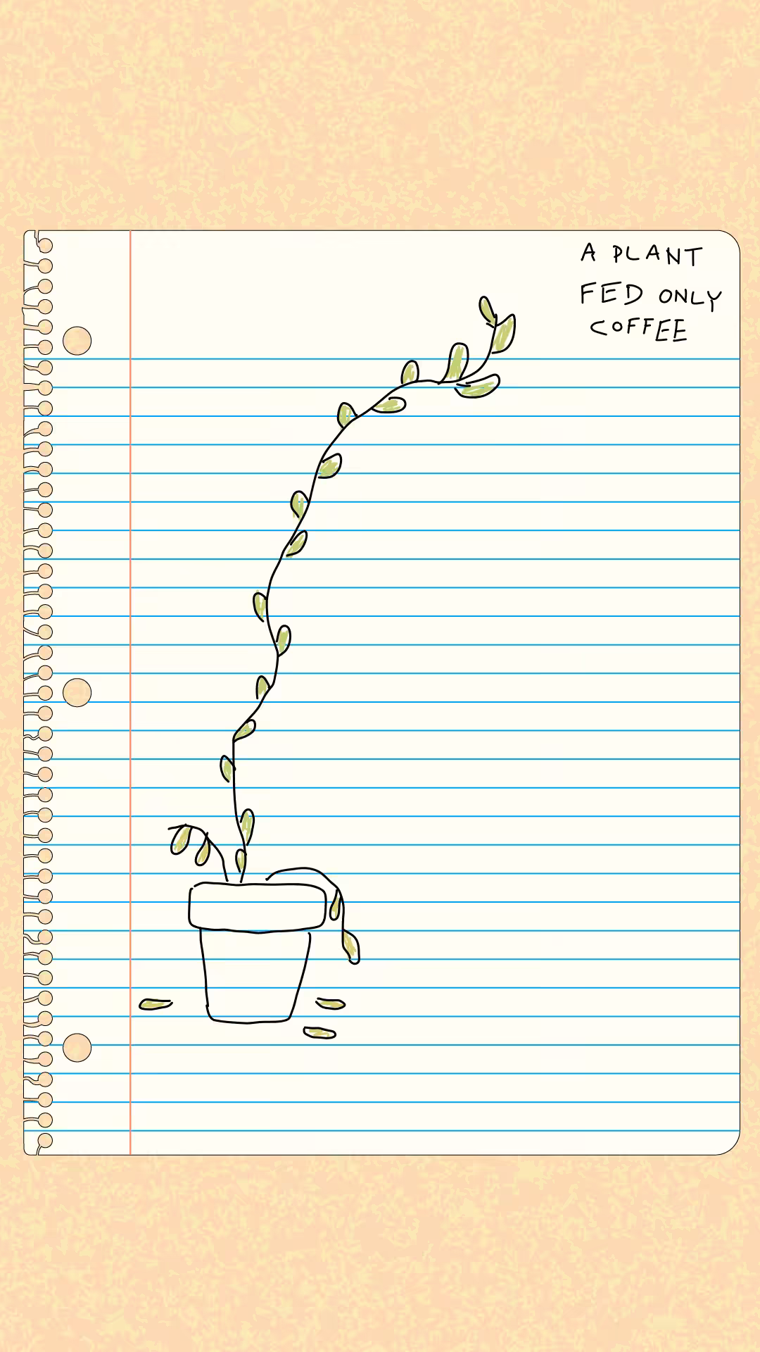 a plant fed only coffee