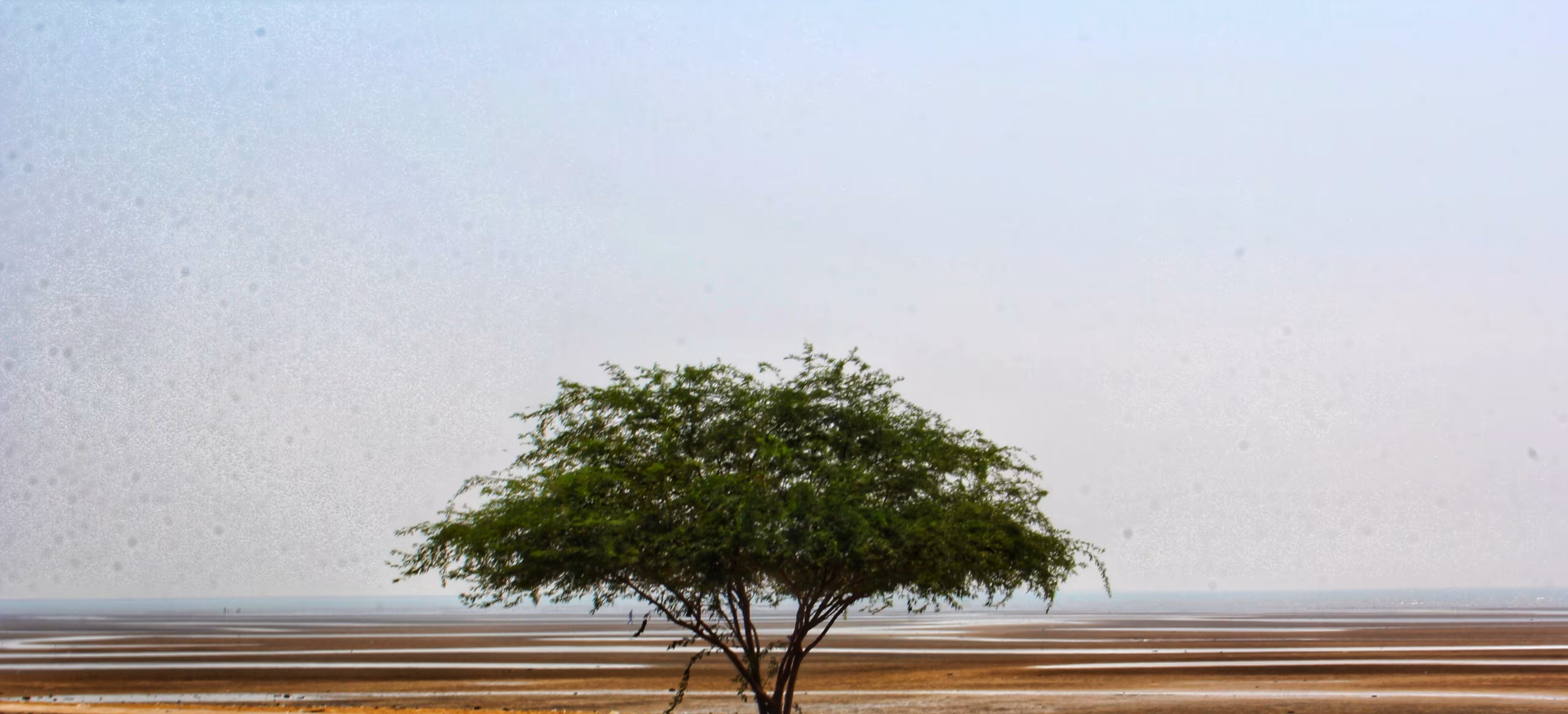Me & Tree