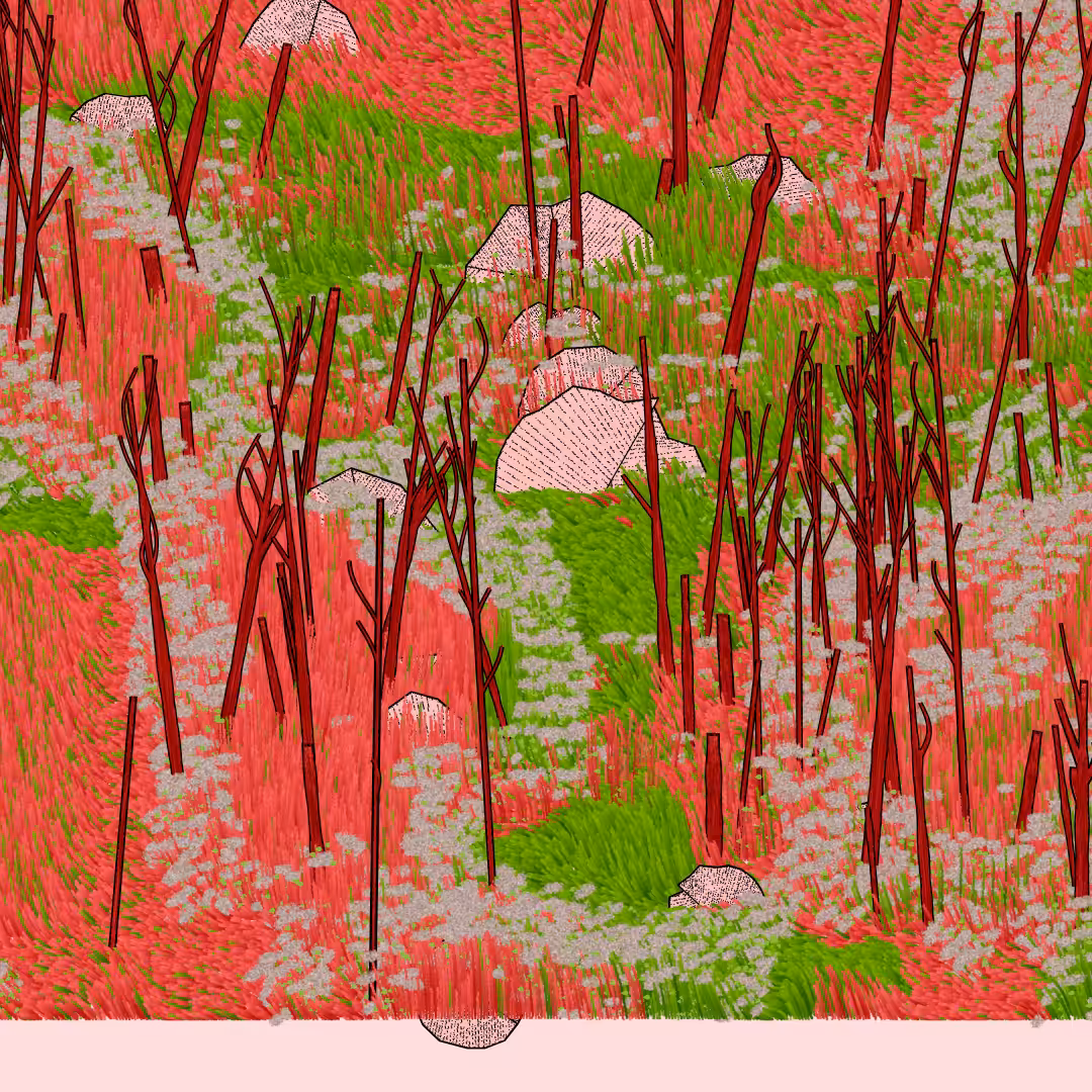Bagh #189