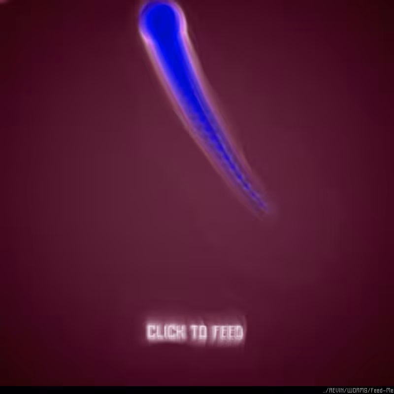 WORMS / Feed Me #13