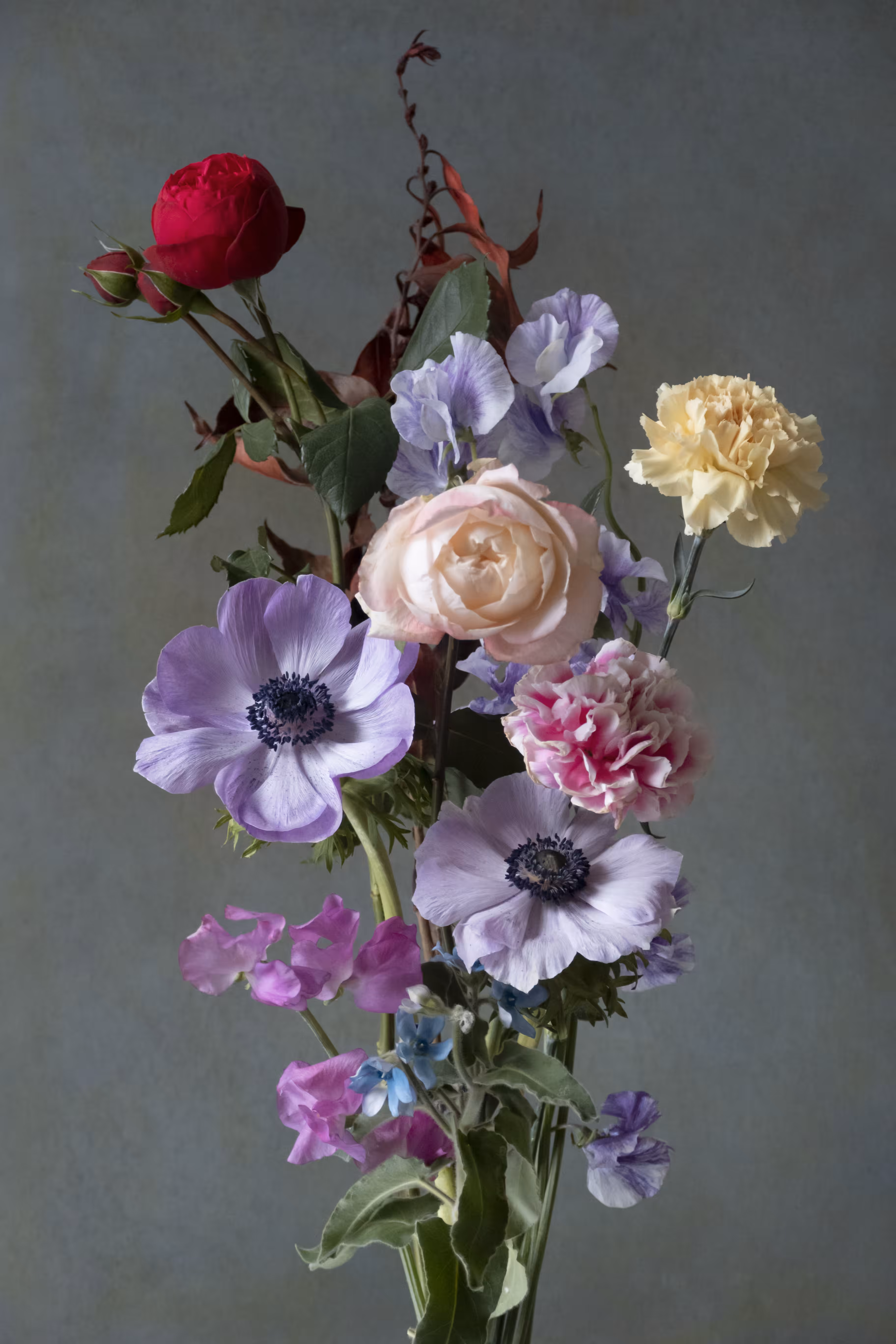 Still Life.11