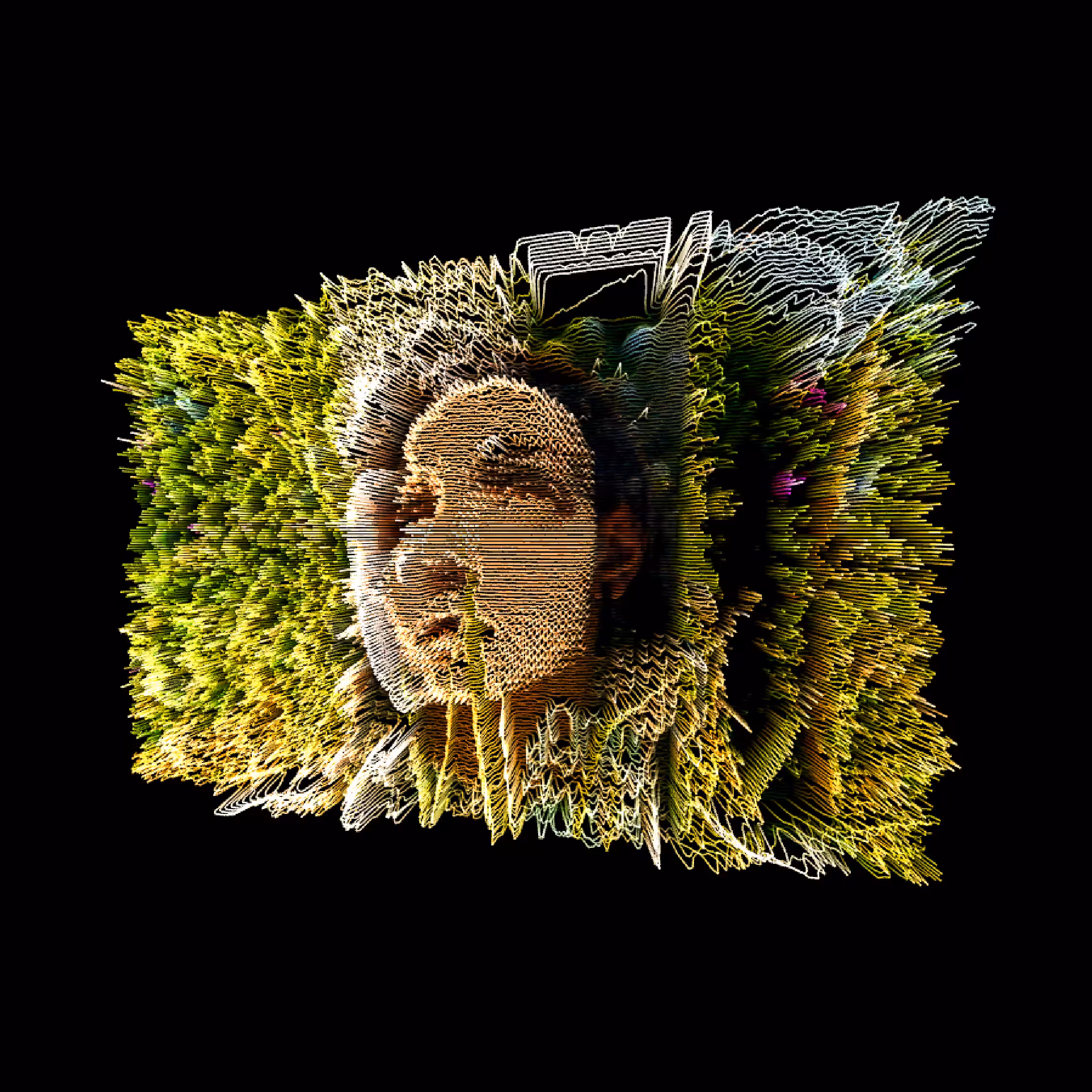 mind landscapes I