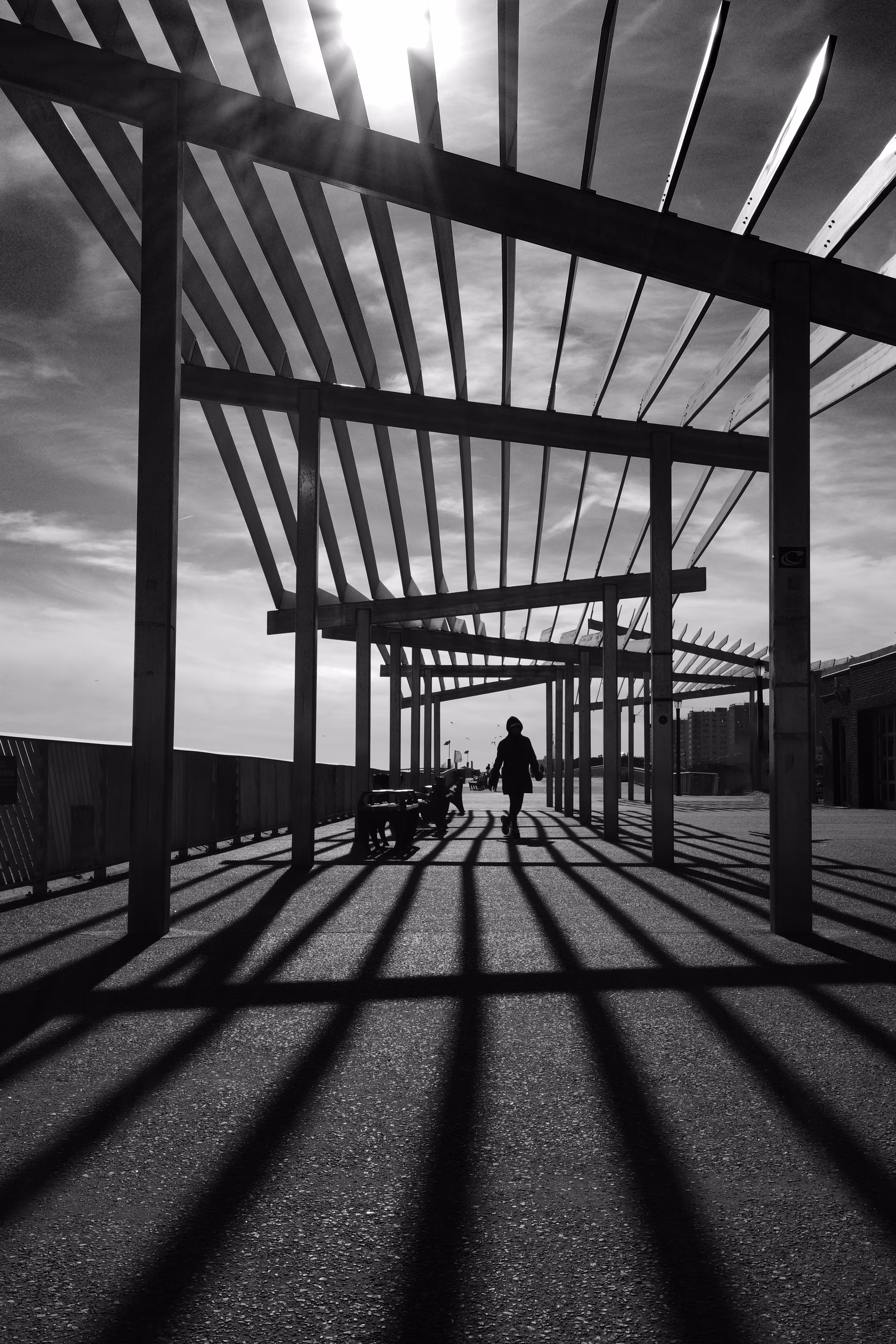 Walk The Line 
