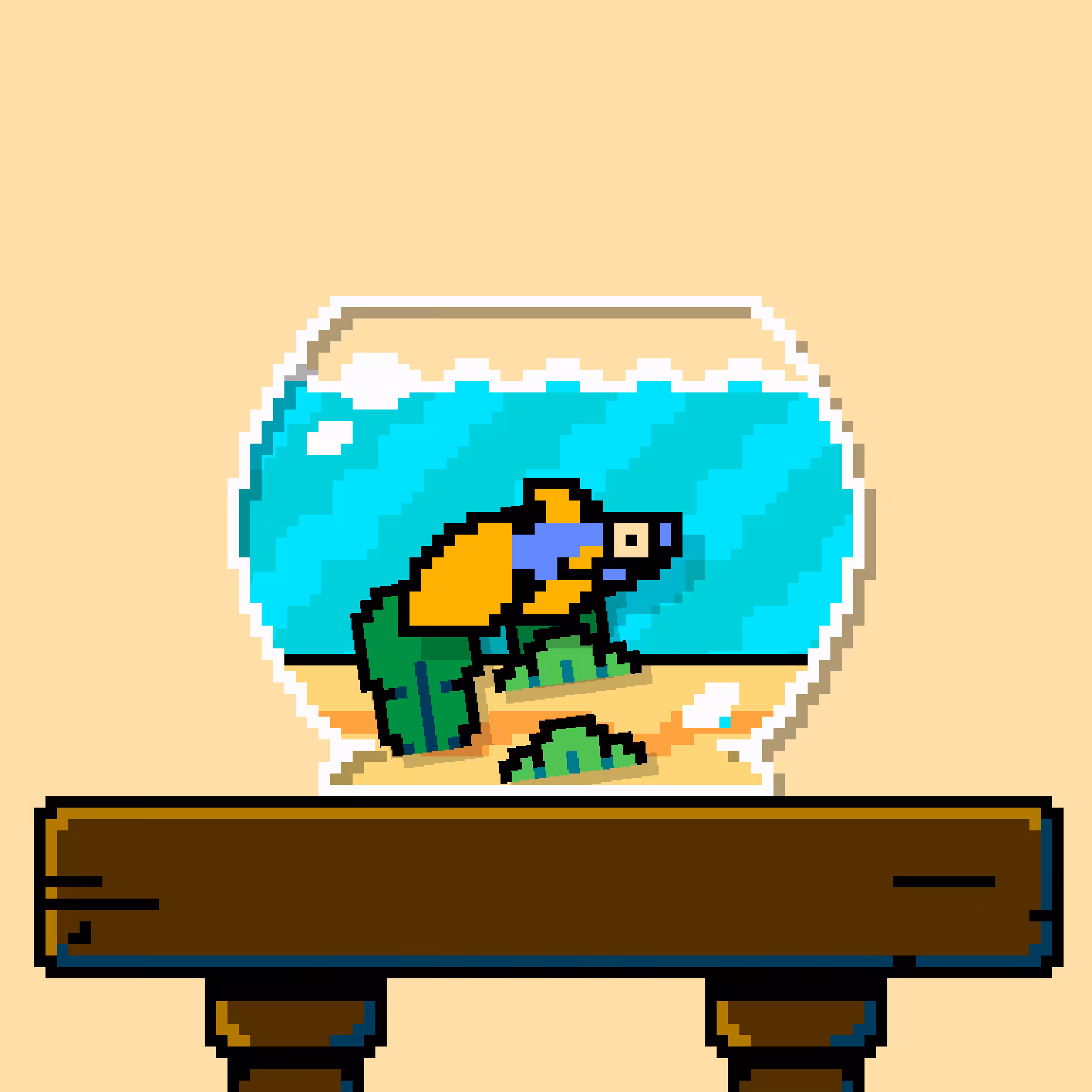 betta fish #347