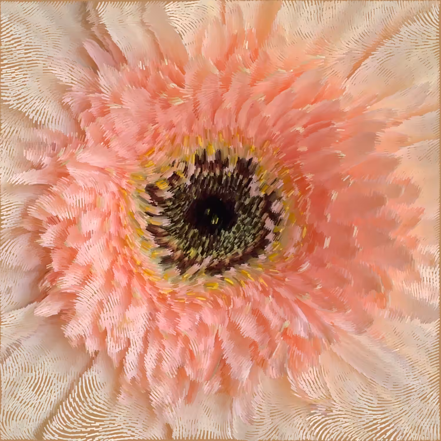 Gerbera jamesonii