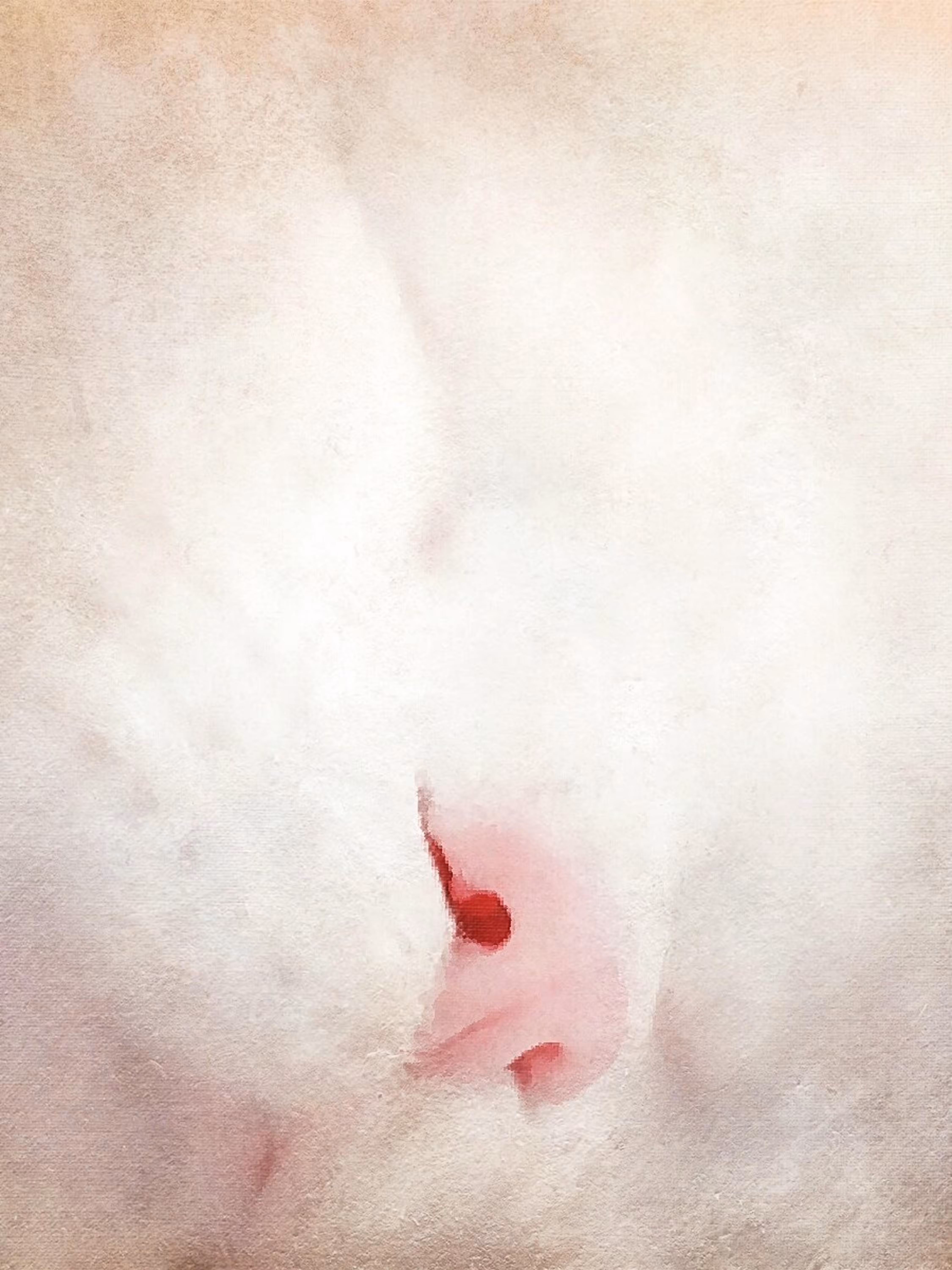 FRIMOUSSE