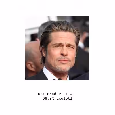Not Brad Pitt: 96.8% axolotl
