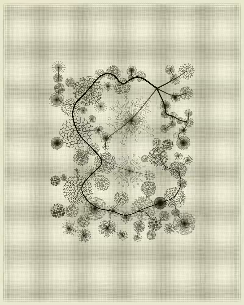 Florilegium #40