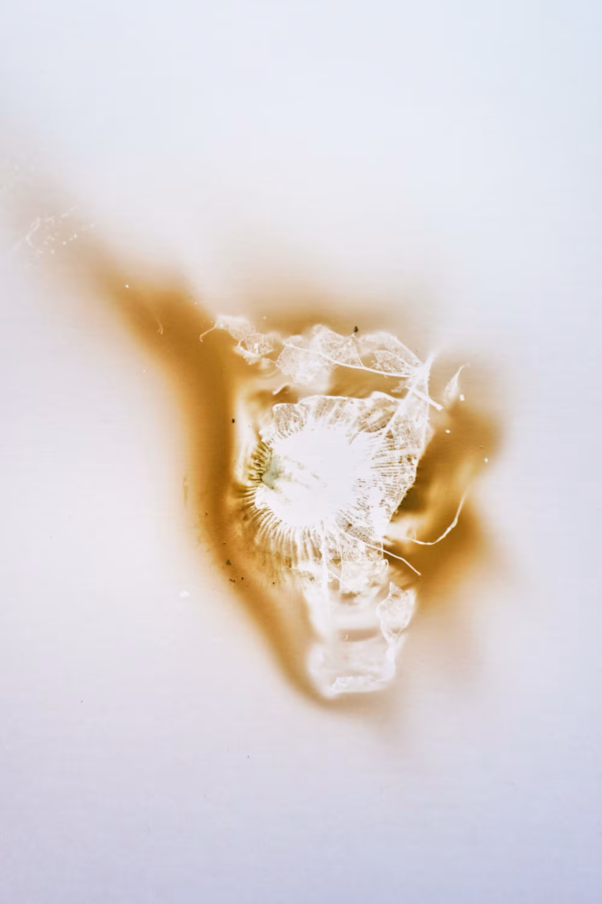 Fingerprint 07