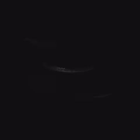 Acapella 11