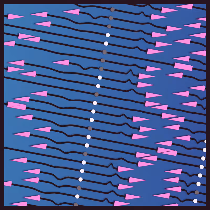 Neural Collapse #297