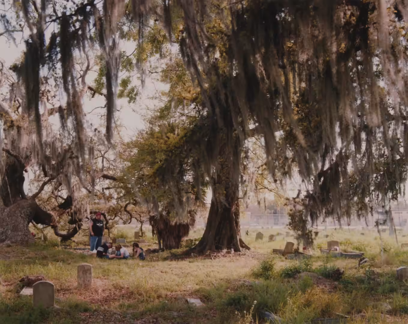  #40 Holt Cemetery, New Orleans, Louisiana by Alec Soth from Dissolutions (Sleeping by the Mississippi)