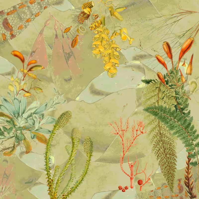future flora from Antarctica's past #2