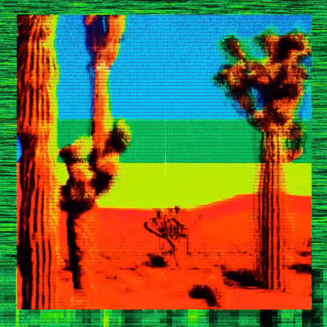 Arid Articulations #2