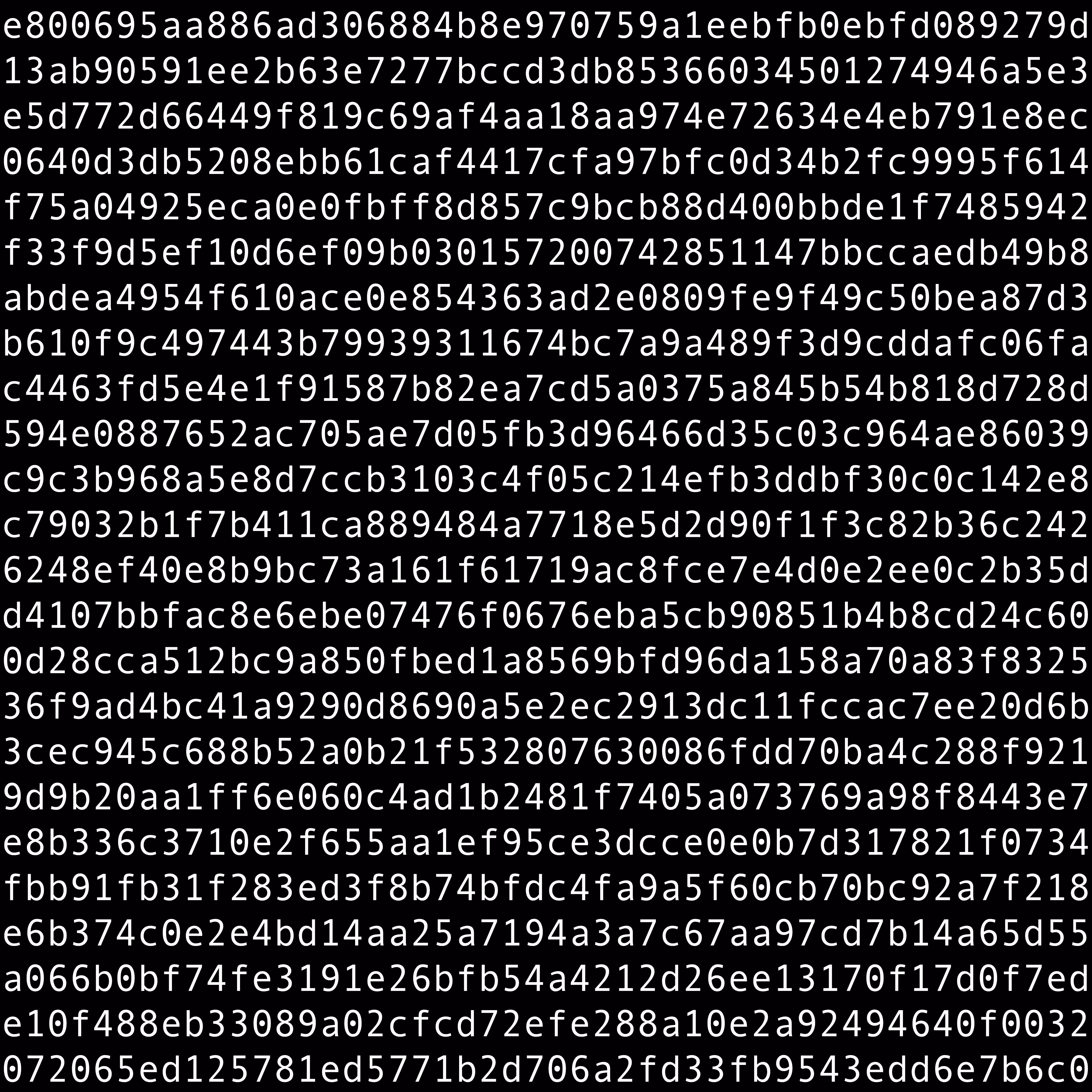1111 #0319
