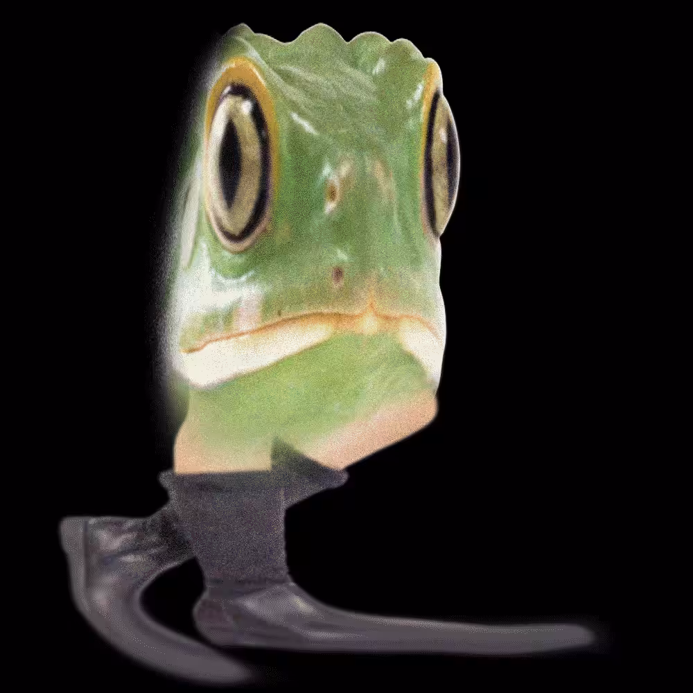 Fr0gF33tz
