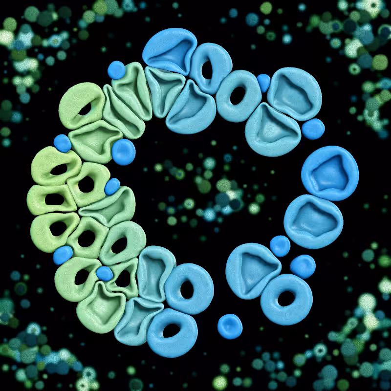 Haemo Globs #50