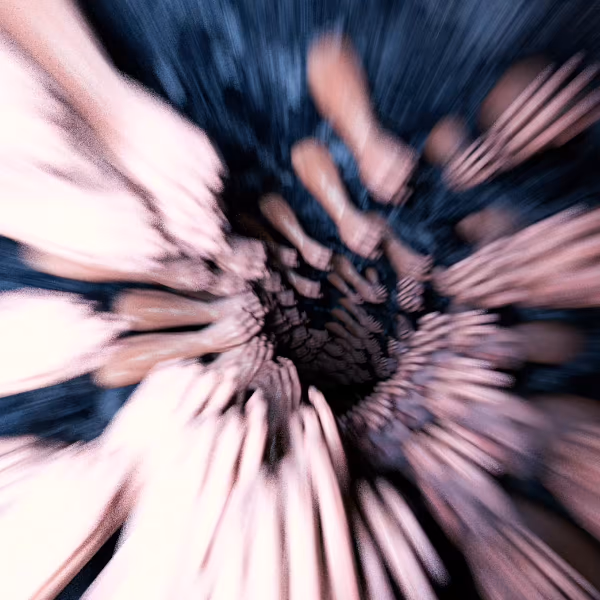 Optic Nerve