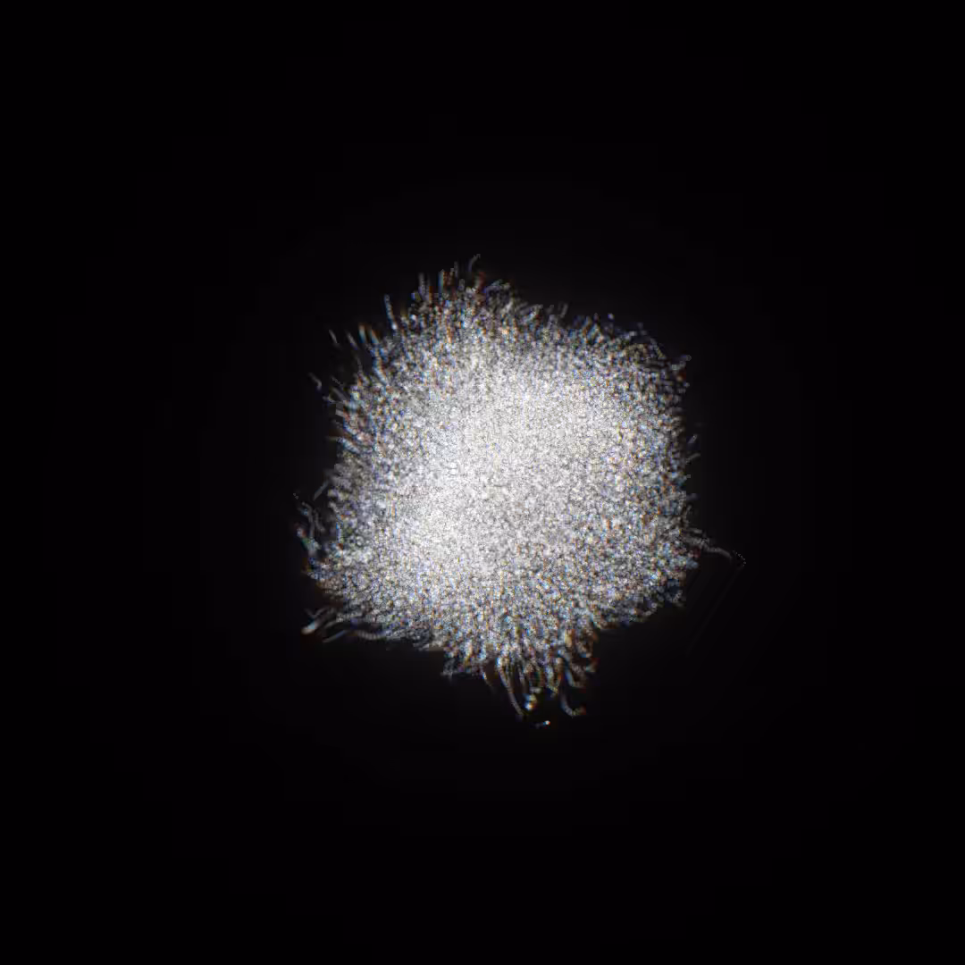 Rodeo posts: breath flock