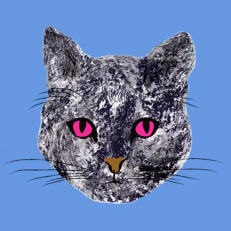 Kitten #15