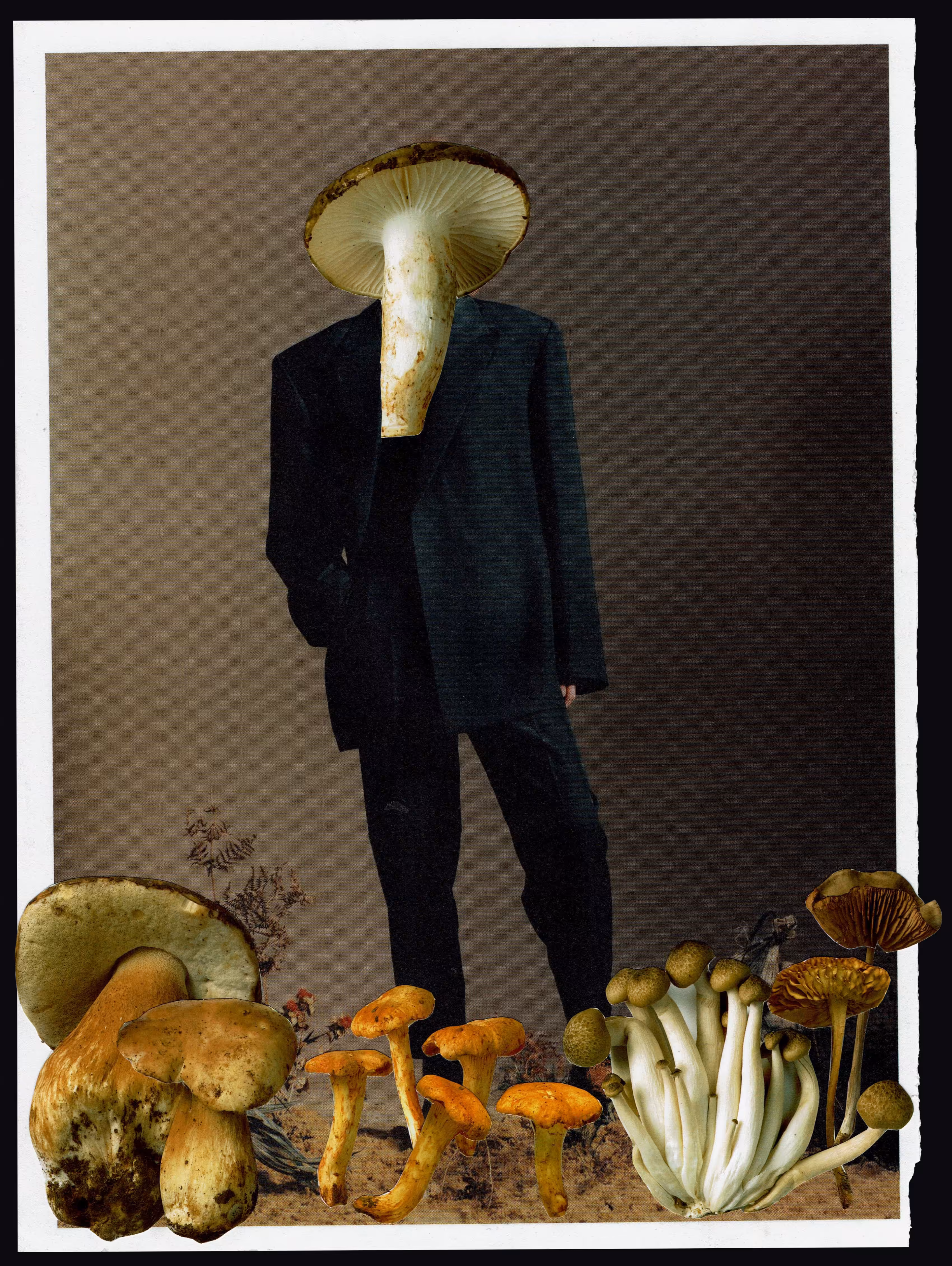 The mushroom man