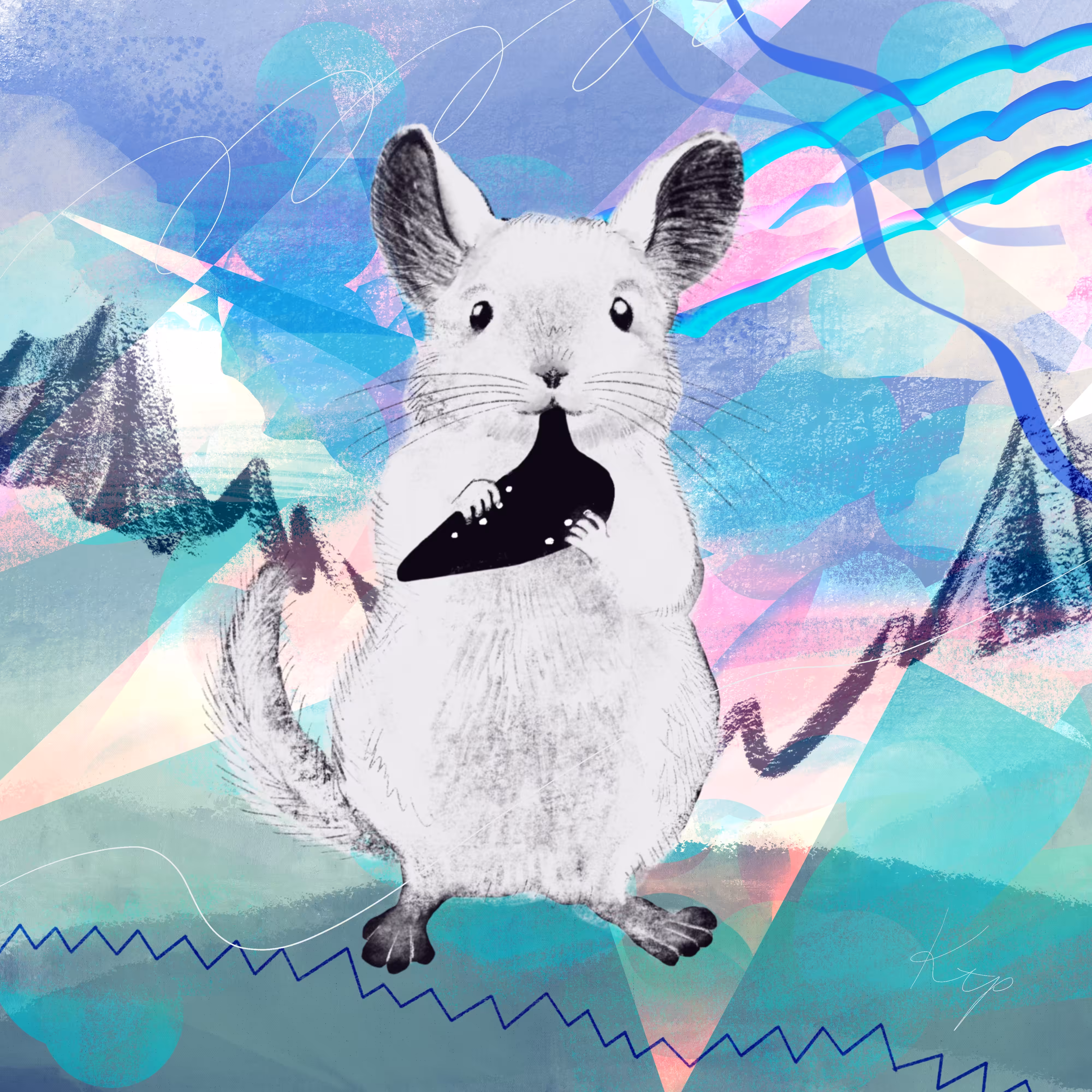 Blue sky and chinchillas