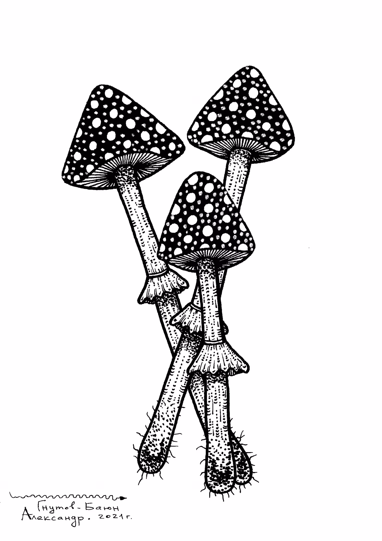 AMANITA MUSCARIA by Gnutov-Bayun: The way to the upper world