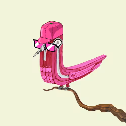 Bolbol, The Bird 074