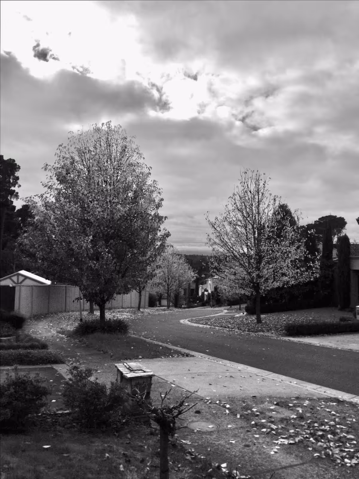 Fallen Leaves, Faded Time