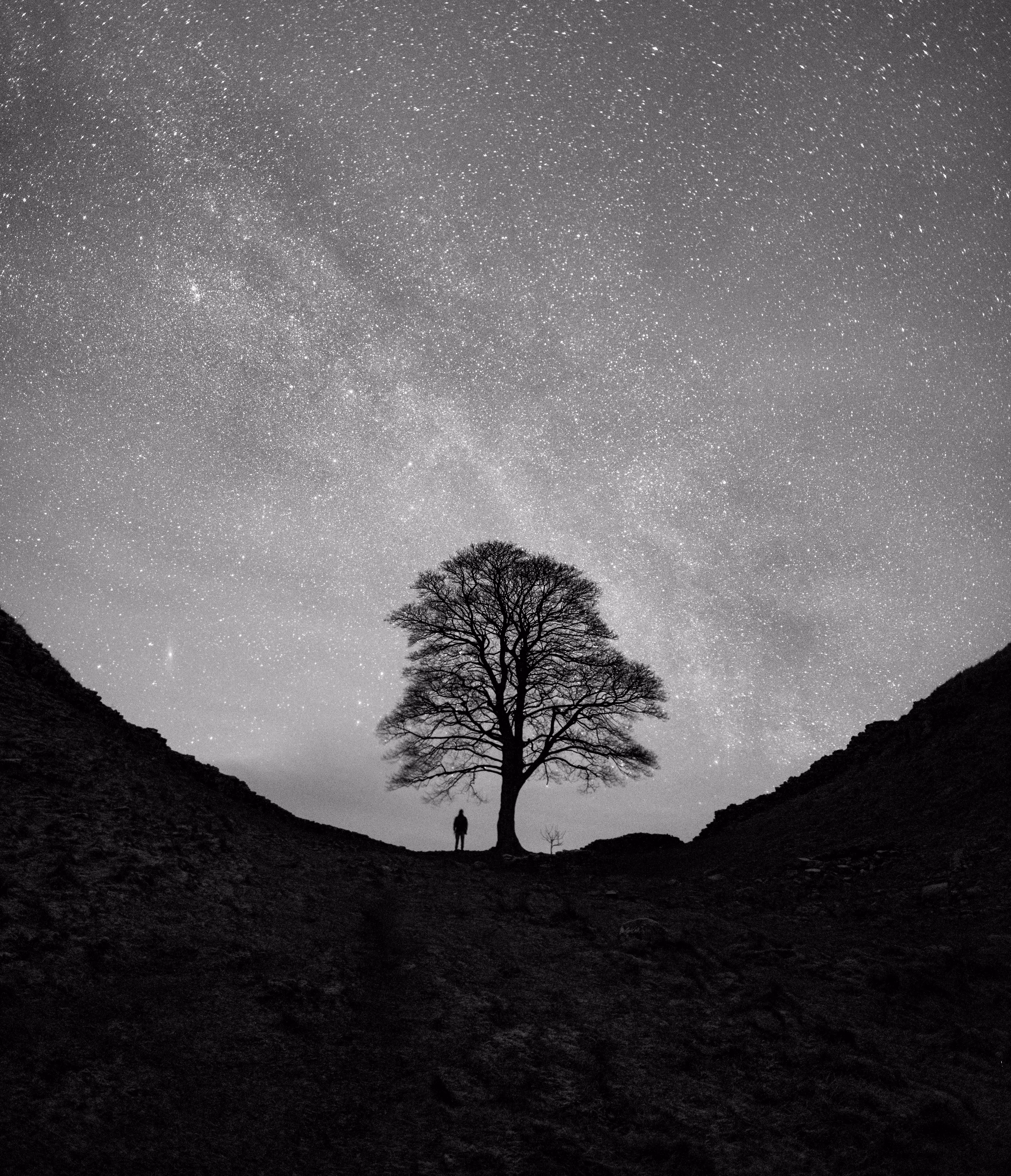 PINE STAR: me versus the galaxy