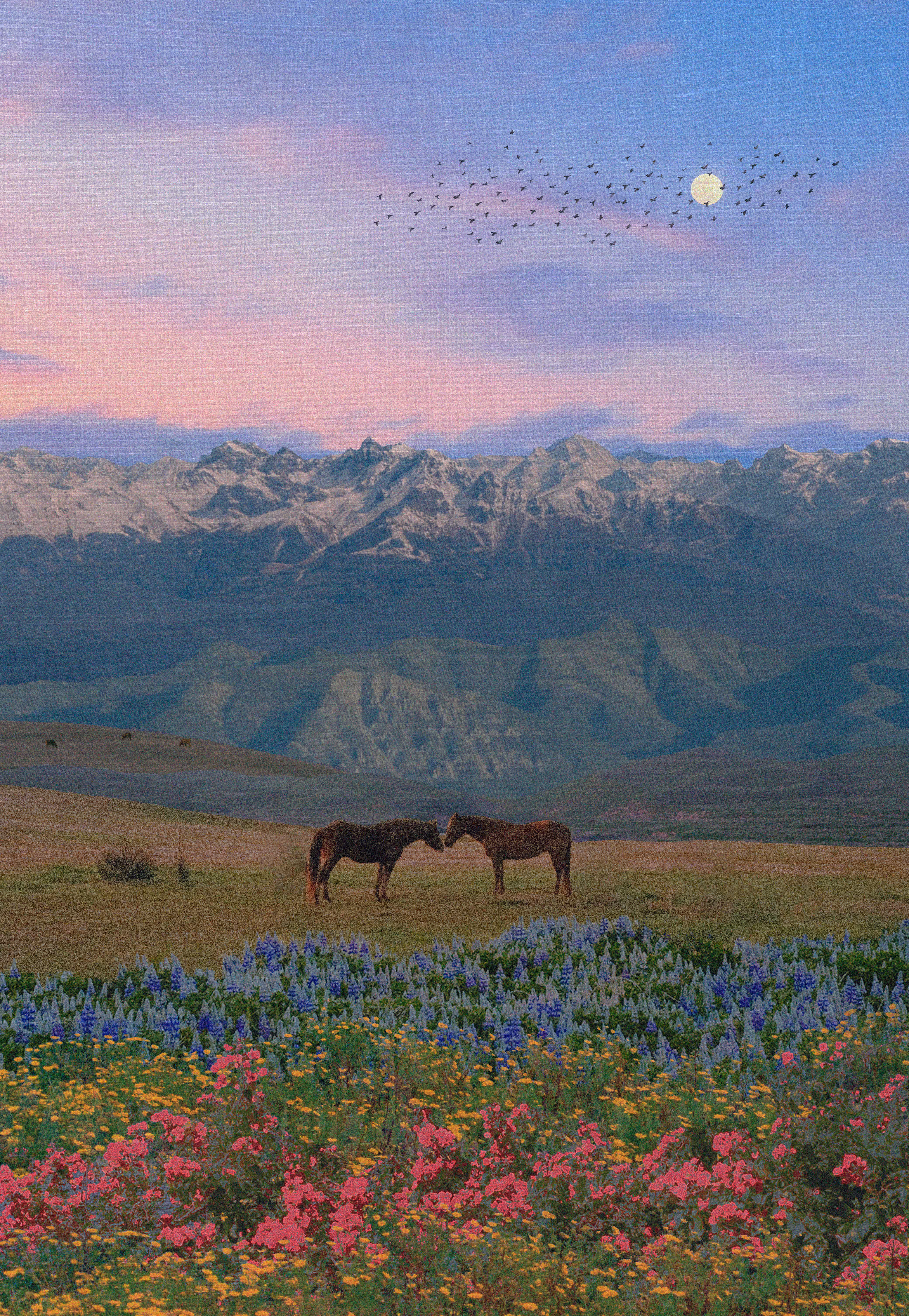 A Quiet Encounter
