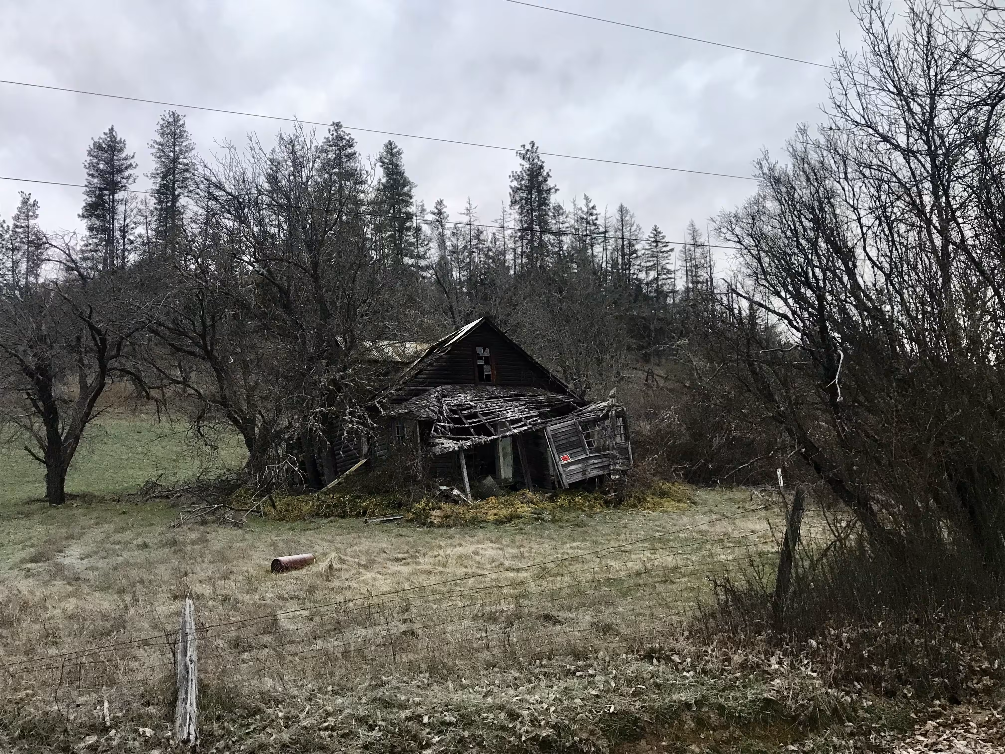 Old and Forgotten 