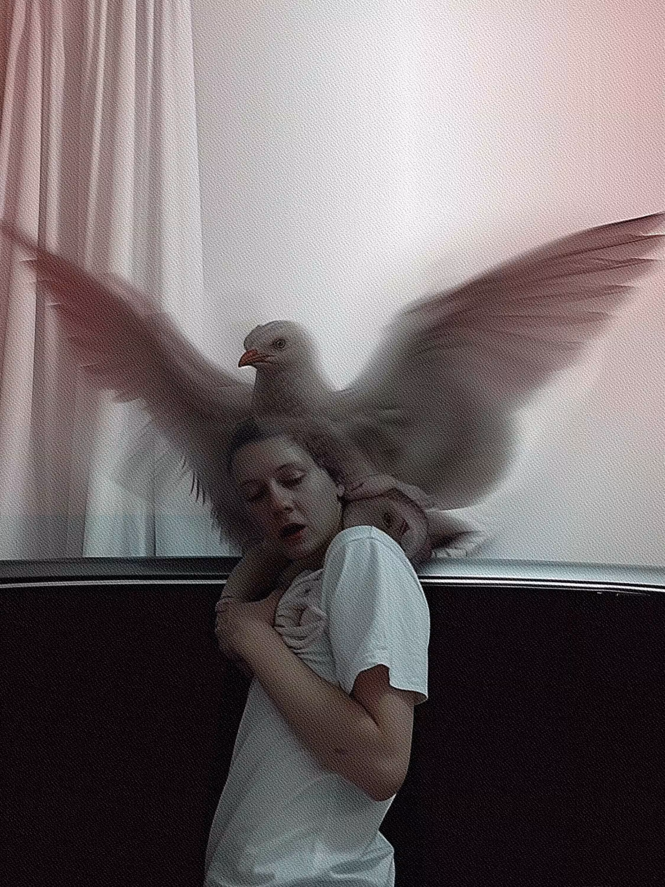Post Photographic Perspectives: Taming the Machine: Olga Fedorova - Untitled #73