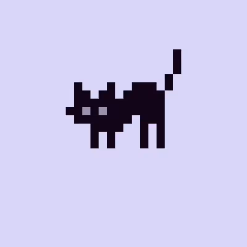 CAT #1