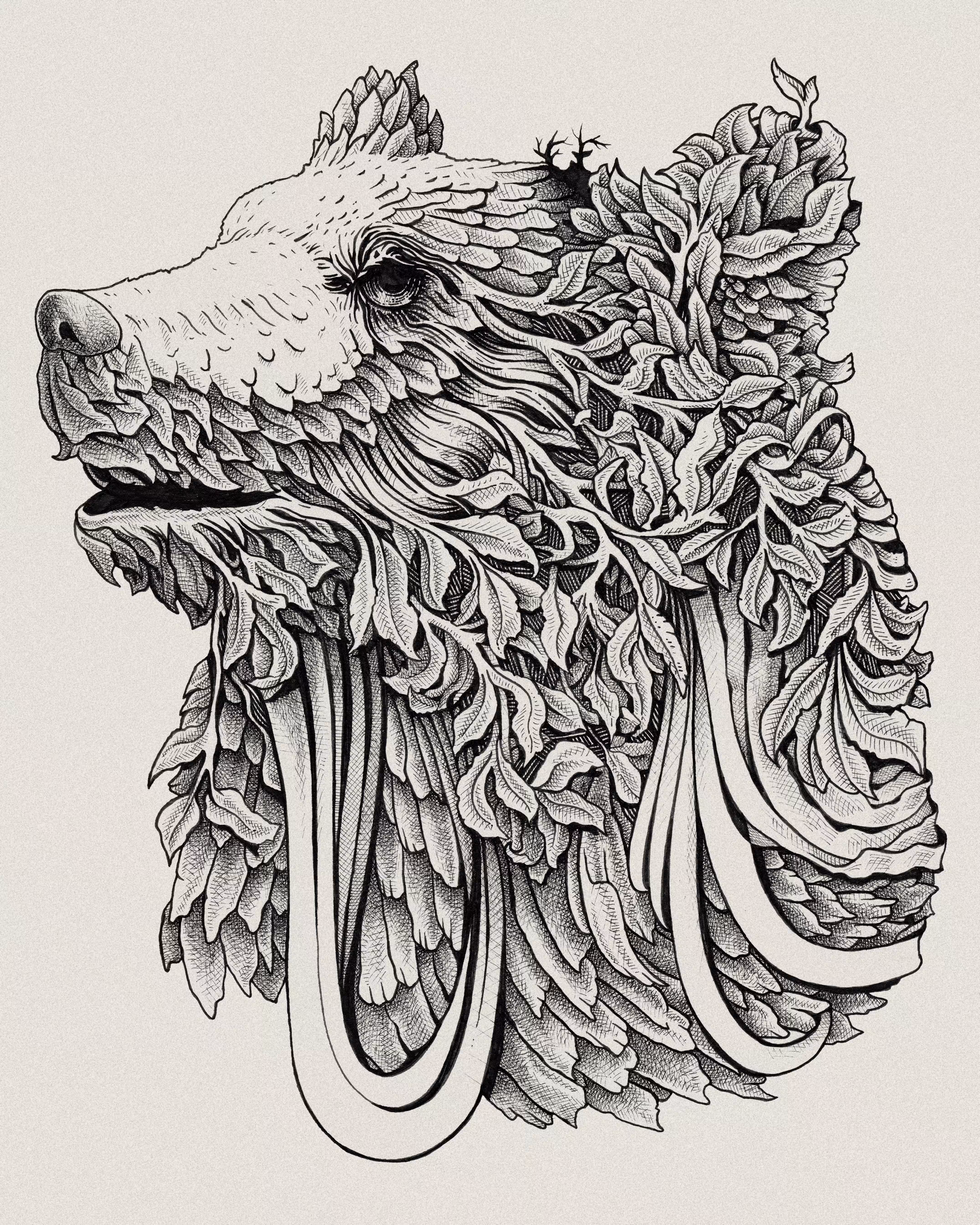 Grizzly bear