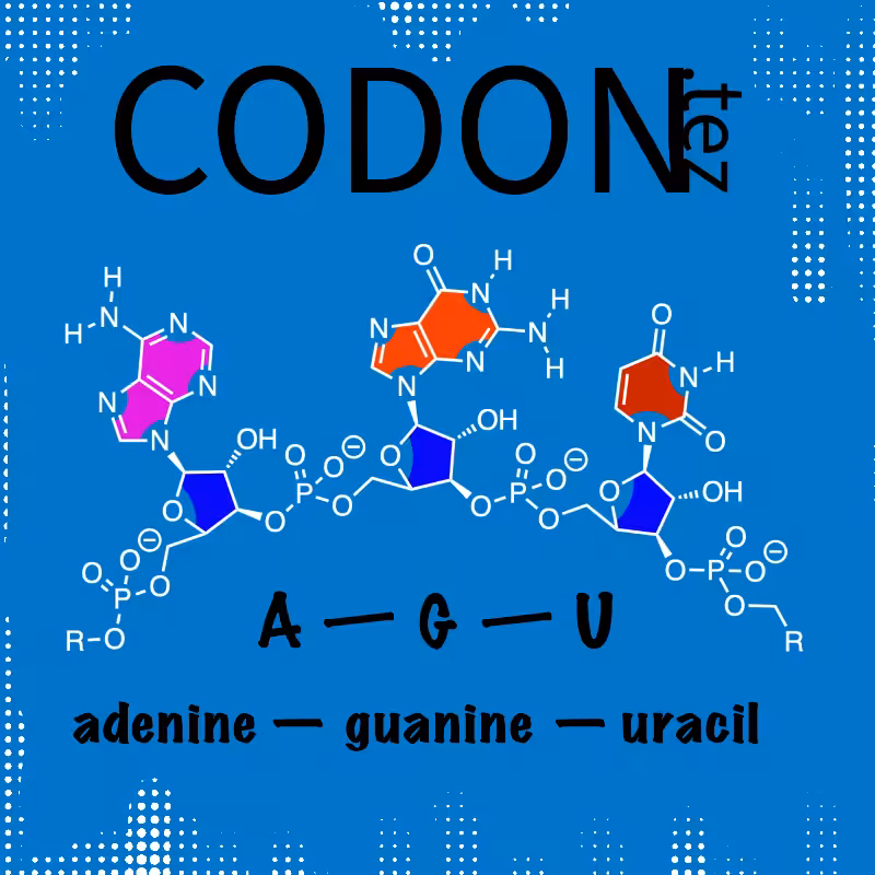 Codon Minter #5