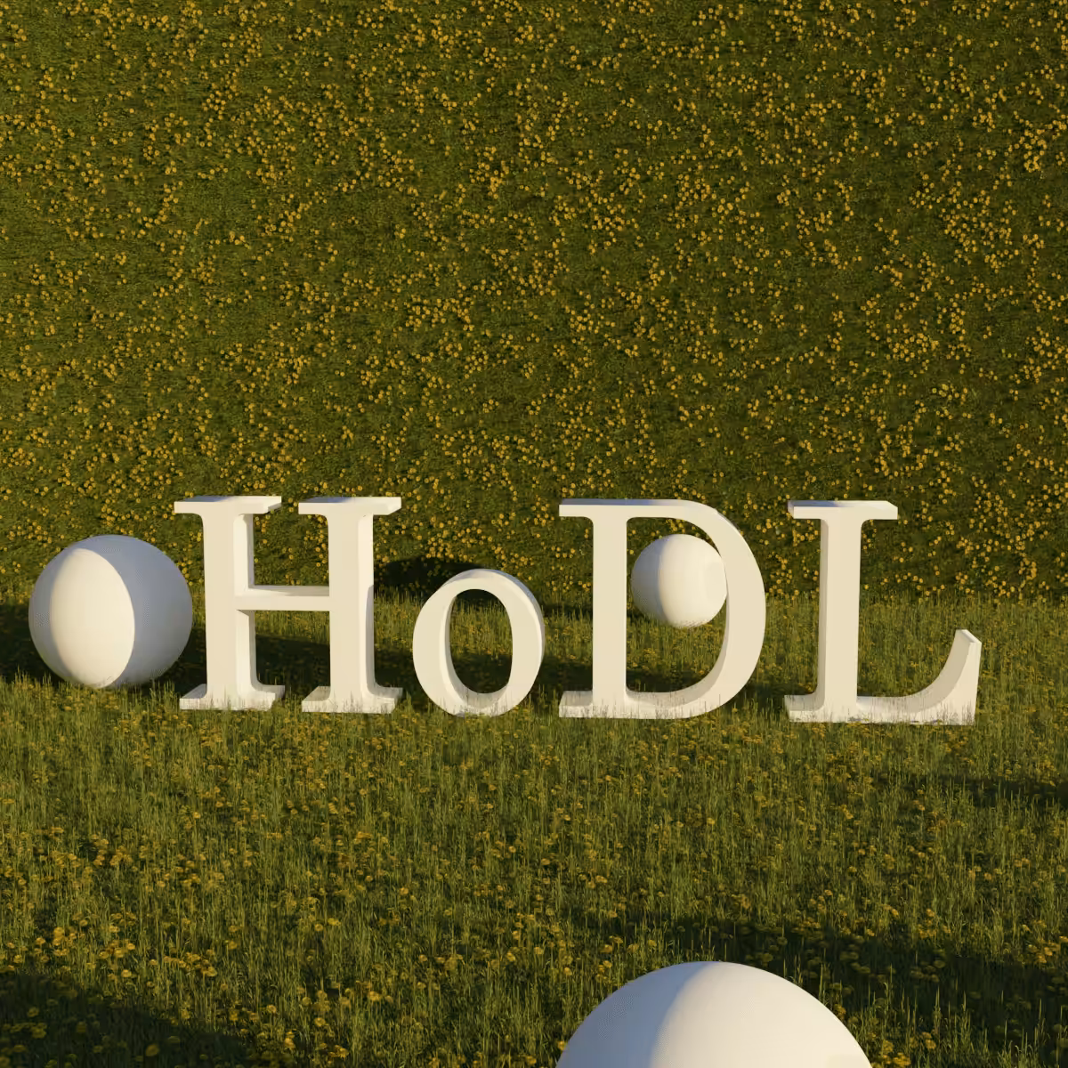 HODL 101