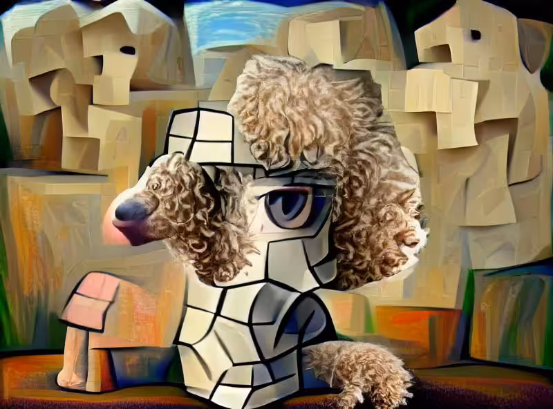 A young lonely poodle cubist