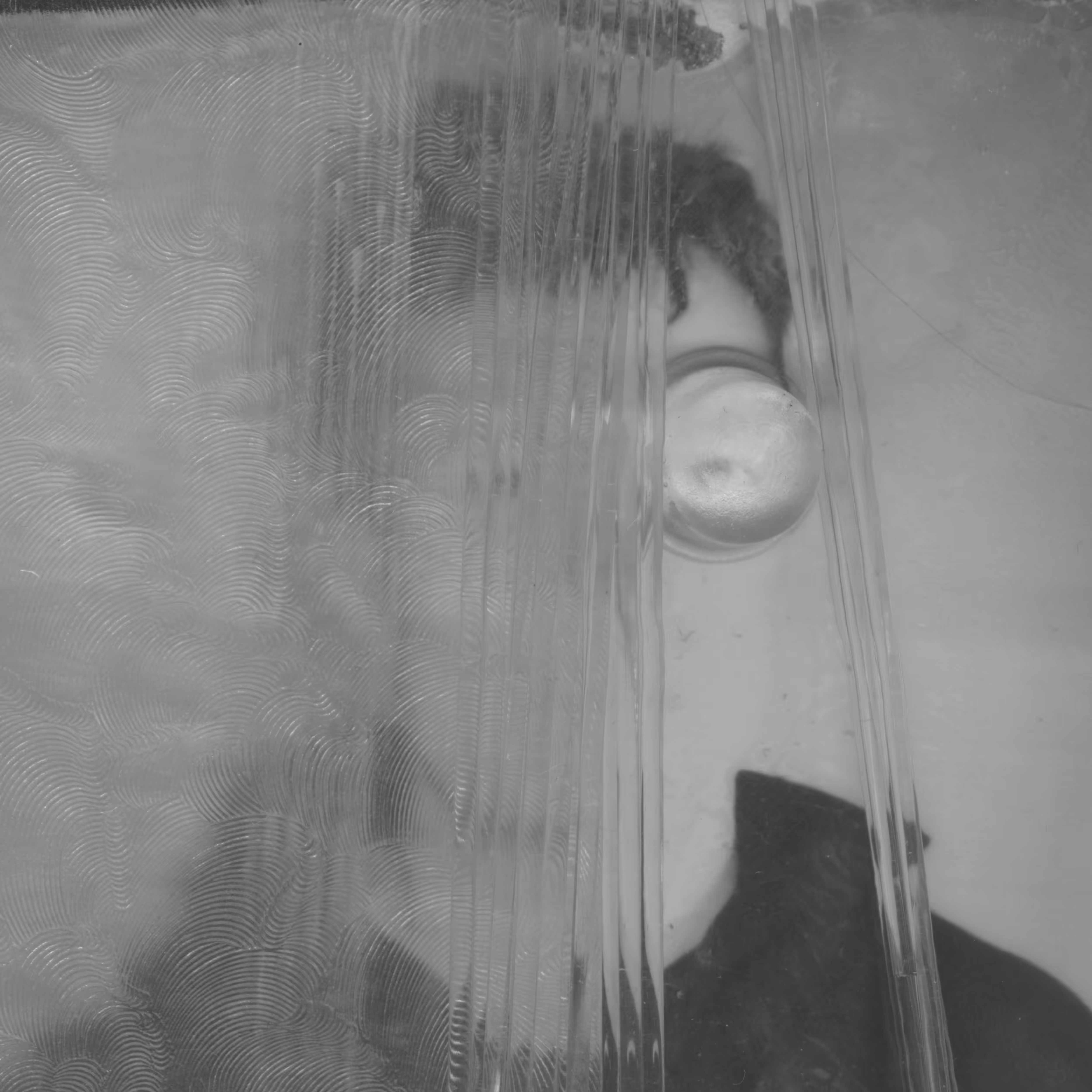 Private lie (Privacy Portraits) 