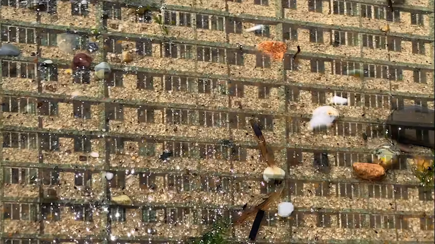 Havana: Bit 314, Series 1 