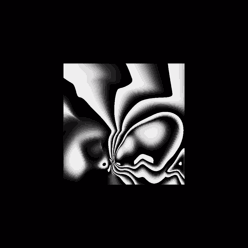 What Draws Us #5
