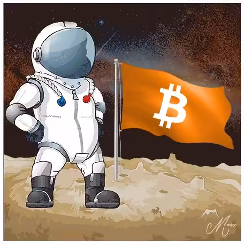 PlanetVisitor: Bitcoin Flag Waving on Mars #2