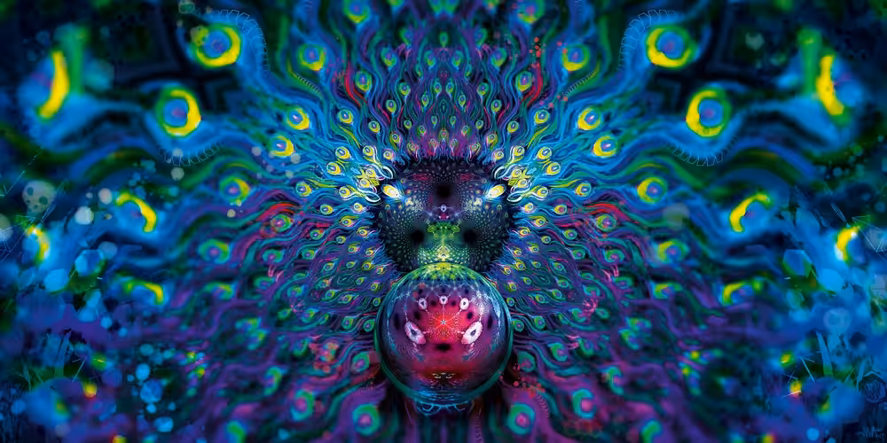 Inside the Magic Box